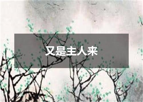 又是主人来