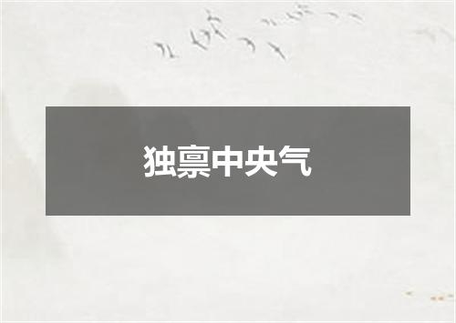 独禀中央气