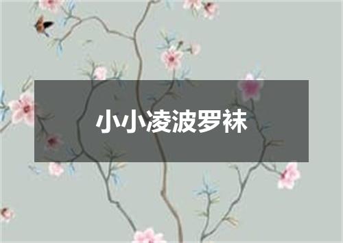小小凌波罗袜