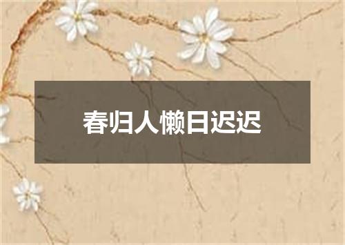 春归人懒日迟迟