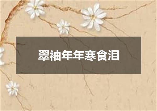 翠袖年年寒食泪