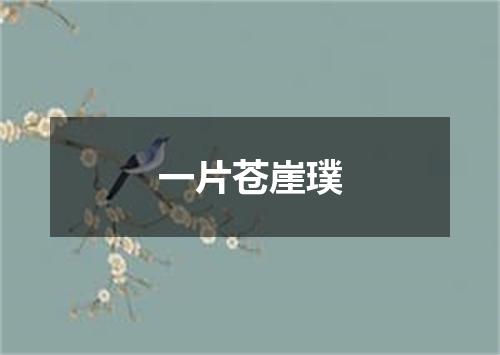 一片苍崖璞