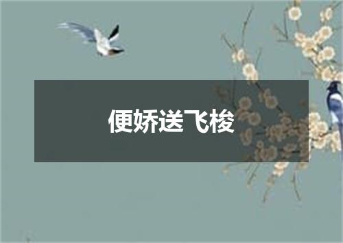 便娇送飞梭