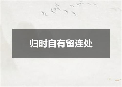归时自有留连处
