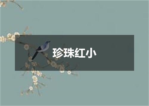 珍珠红小