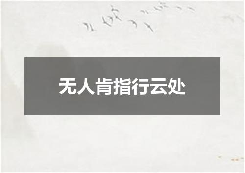 无人肯指行云处