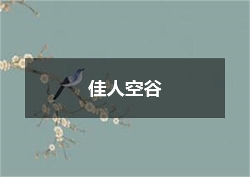 佳人空谷