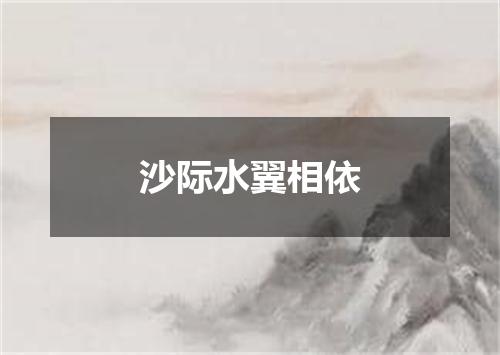沙际水翼相依