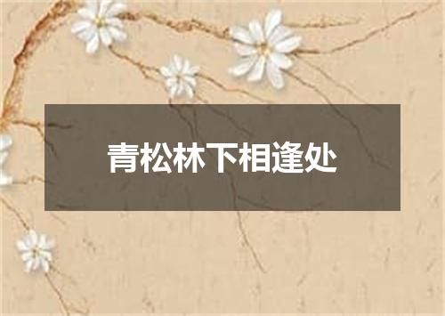 青松林下相逢处
