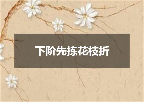 下阶先拣花枝折