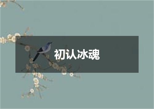 初认冰魂