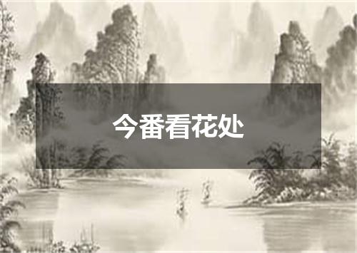 今番看花处