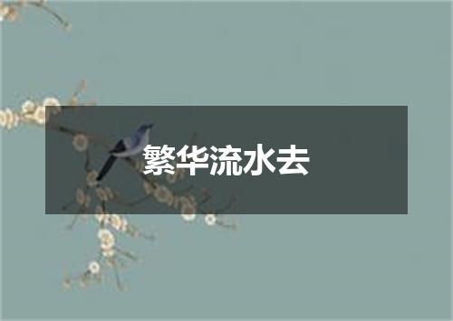 繁华流水去