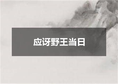 应讶野王当日