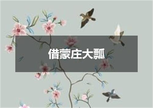 借蒙庄大瓢