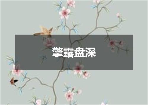 擎露盘深