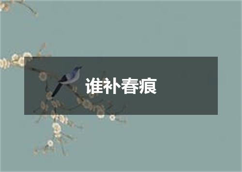 谁补春痕