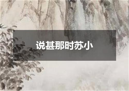 说甚那时苏小