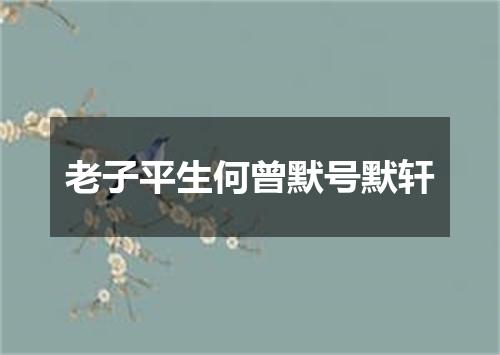 老子平生何曾默号默轩