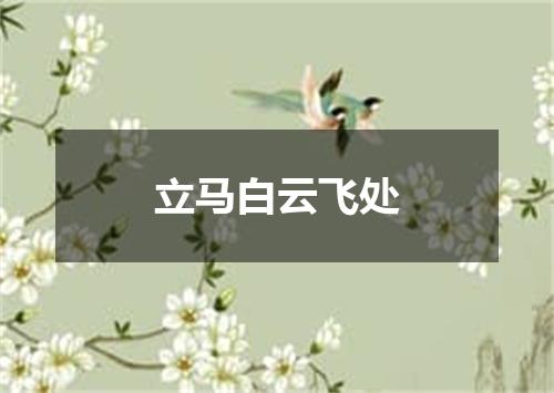 立马白云飞处
