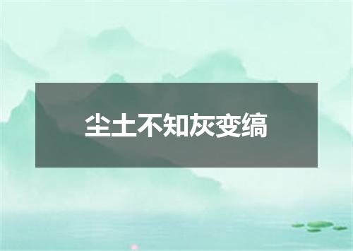 尘土不知灰变缟