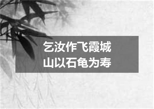 乞汝作飞霞城山以石龟为寿