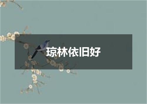 琼林依旧好