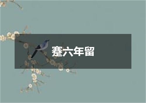 蹇六年留