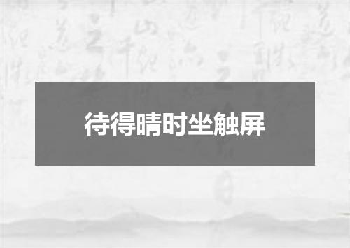 待得晴时坐触屏