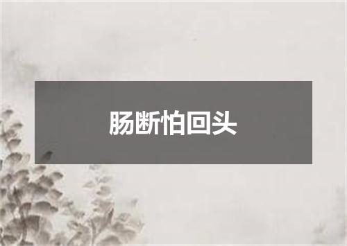 肠断怕回头