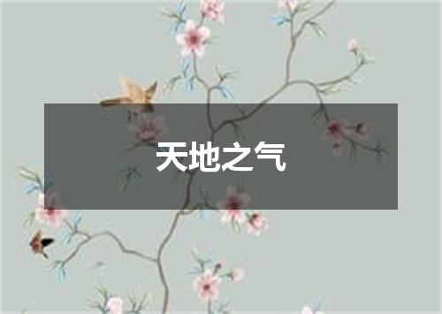 天地之气