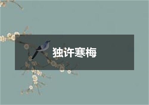 独许寒梅
