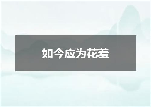 如今应为花羞