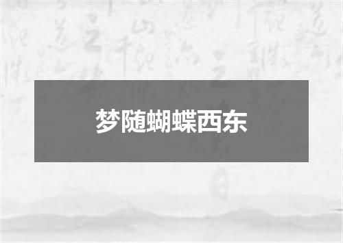 梦随蝴蝶西东