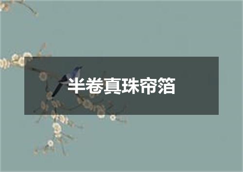 半卷真珠帘箔