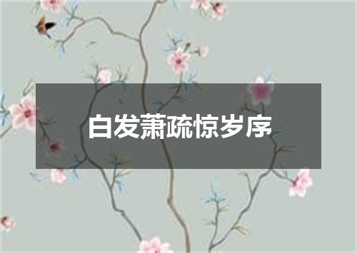 白发萧疏惊岁序