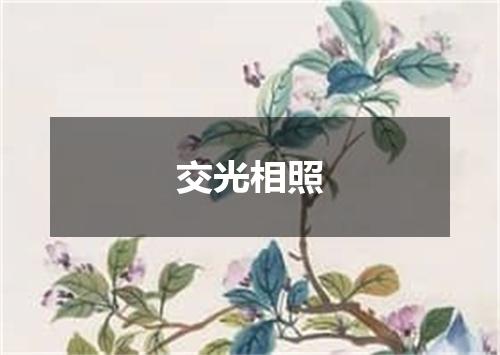 交光相照