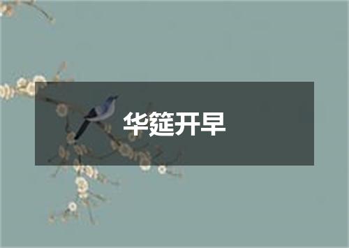 华筵开早