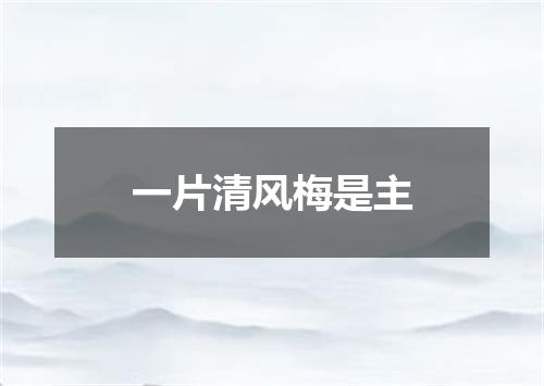 一片清风梅是主