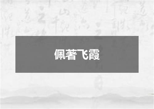 佩著飞霞