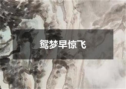 鸳梦早惊飞