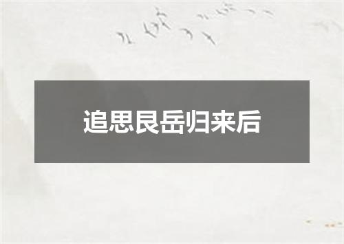 追思艮岳归来后