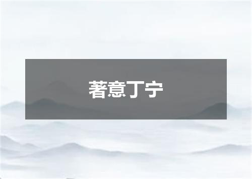 著意丁宁