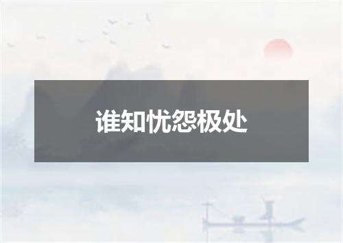 谁知忧怨极处