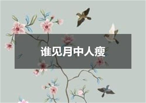 谁见月中人瘦