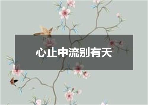 心止中流别有天