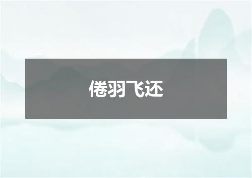 倦羽飞还