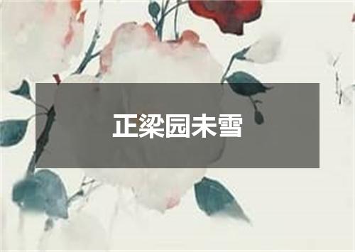 正梁园未雪