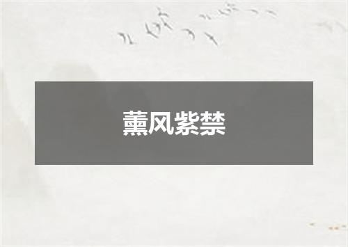 薰风紫禁