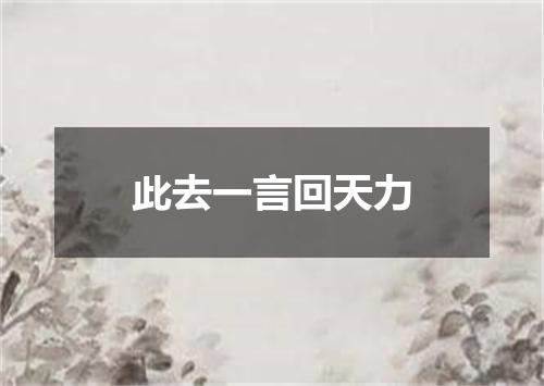 此去一言回天力